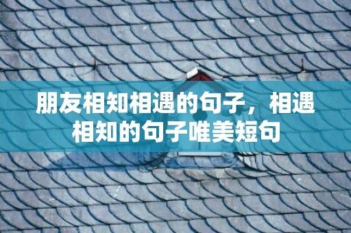 朋友相知相遇的句子，相遇相知的句子唯美短句