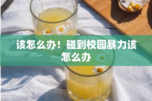 该怎么办！碰到校园暴力该怎么办