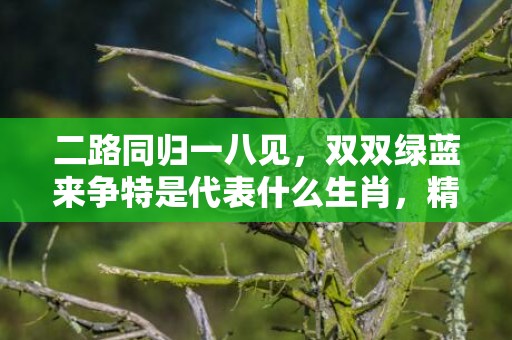 二路同归一八见，双双绿蓝来争特是代表什么生肖，精选落实解释