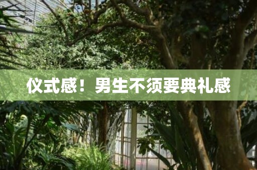 仪式感！男生不须要典礼感