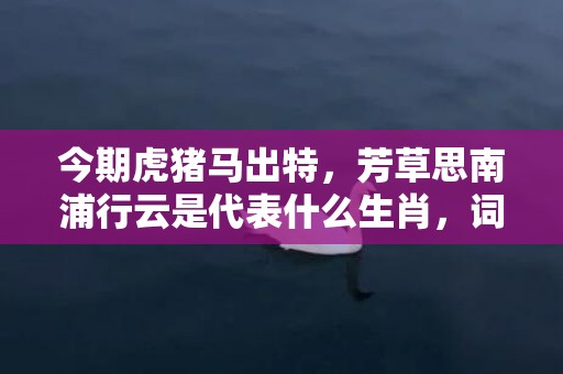 今期虎猪马出特，芳草思南浦行云是代表什么生肖，词语落实解释