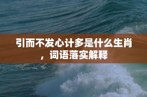 引而不发心计多是什么生肖，词语落实解释
