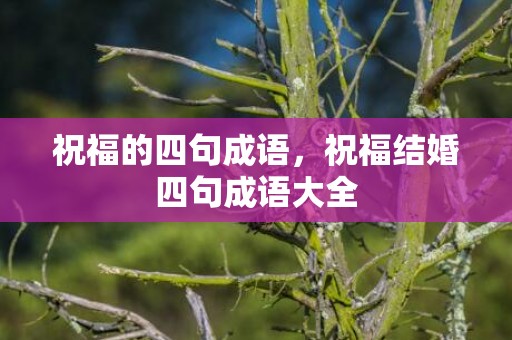 祝福的四句成语，祝福结婚四句成语大全