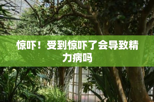 惊吓！受到惊吓了会导致精力病吗