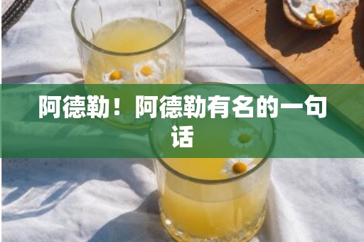 阿德勒！阿德勒有名的一句话