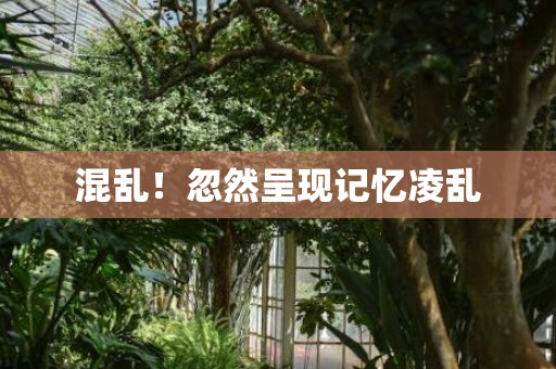 混乱！忽然呈现记忆凌乱