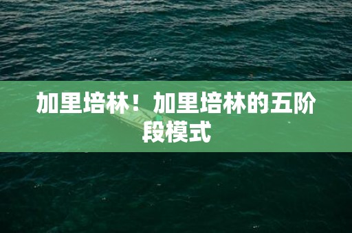 加里培林！加里培林的五阶段模式