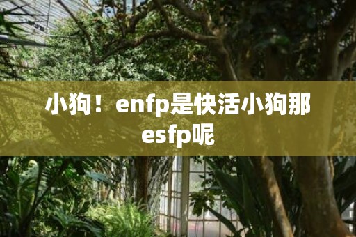 小狗！enfp是快活小狗那esfp呢