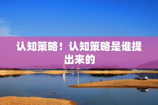 认知策略！认知策略是谁提出来的