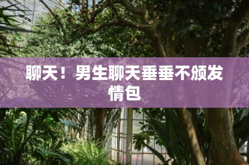 聊天！男生聊天垂垂不颁发情包