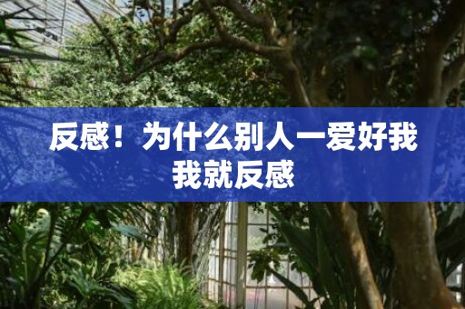 反感！为什么别人一爱好我我就反感