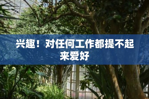 兴趣！对任何工作都提不起来爱好