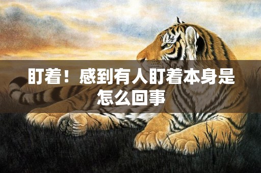 盯着！感到有人盯着本身是怎么回事