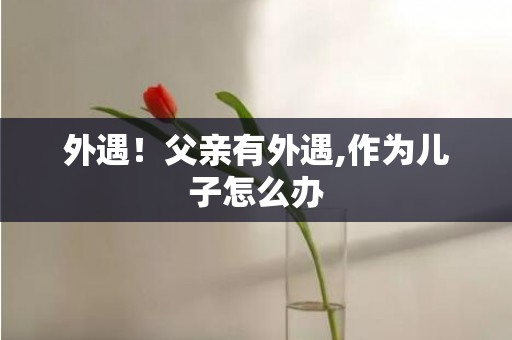 外遇！父亲有外遇,作为儿子怎么办