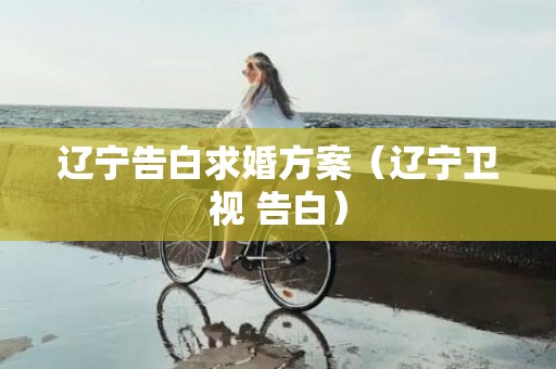 辽宁告白求婚方案（辽宁卫视 告白）