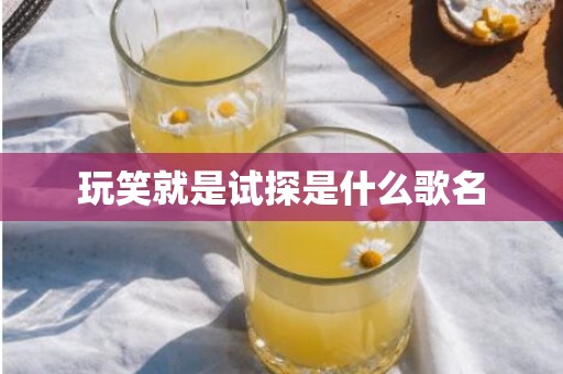 玩笑就是试探是什么歌名