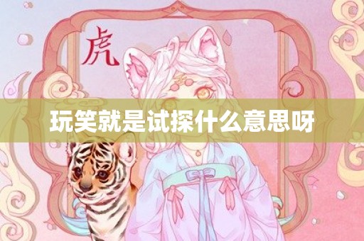 玩笑就是试探什么意思呀