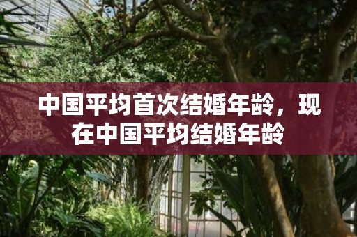中国平均首次结婚年龄，现在中国平均结婚年龄