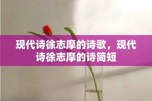 现代诗徐志摩的诗歌，现代诗徐志摩的诗简短