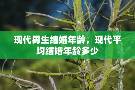 现代男生结婚年龄，现代平均结婚年龄多少