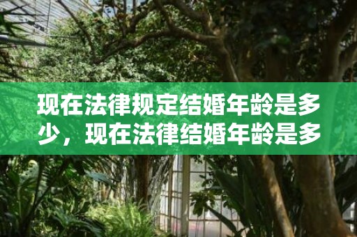 现在法律规定结婚年龄是多少，现在法律结婚年龄是多少