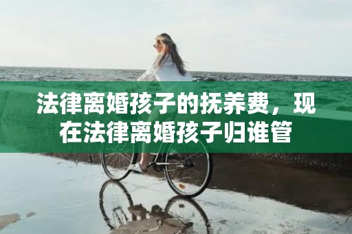 法律离婚孩子的抚养费，现在法律离婚孩子归谁管