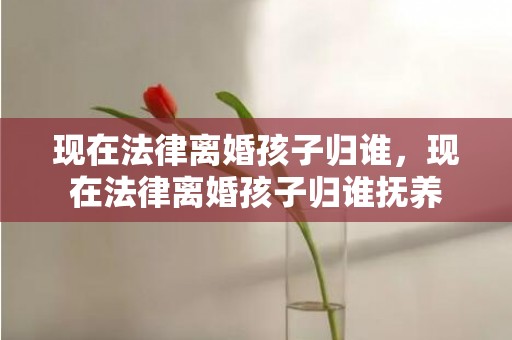 现在法律离婚孩子归谁，现在法律离婚孩子归谁抚养