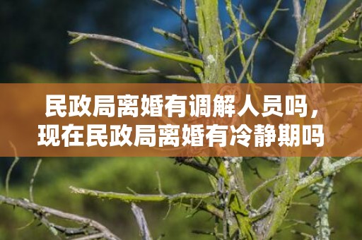 民政局离婚有调解人员吗，现在民政局离婚有冷静期吗