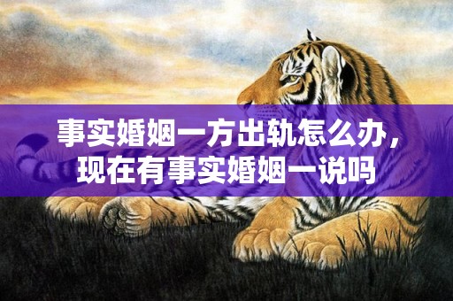 事实婚姻一方出轨怎么办，现在有事实婚姻一说吗