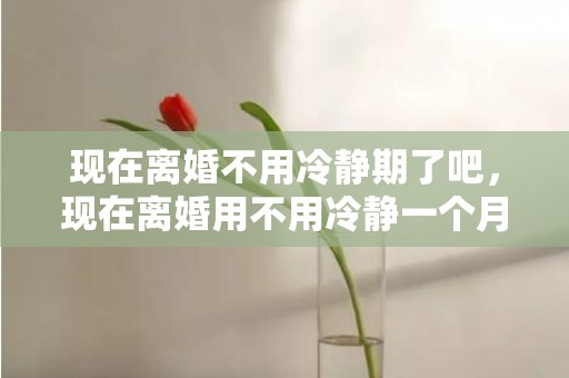 现在离婚不用冷静期了吧，现在离婚用不用冷静一个月