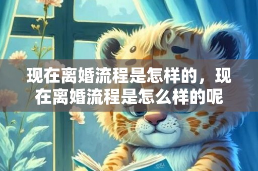 现在离婚流程是怎样的，现在离婚流程是怎么样的呢