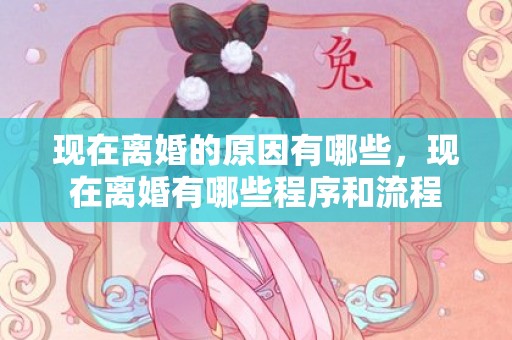 现在离婚的原因有哪些，现在离婚有哪些程序和流程