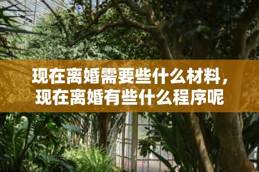 现在离婚需要些什么材料，现在离婚有些什么程序呢