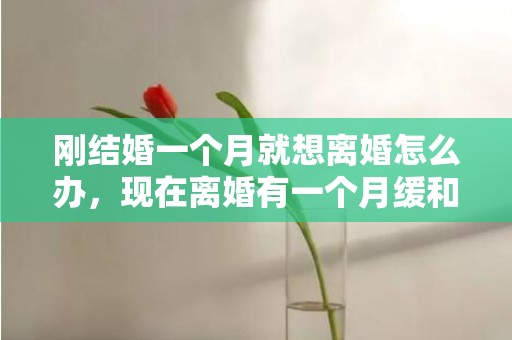 刚结婚一个月就想离婚怎么办，现在离婚有一个月缓和期吗