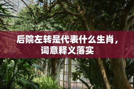 后院左转是代表什么生肖，词意释义落实