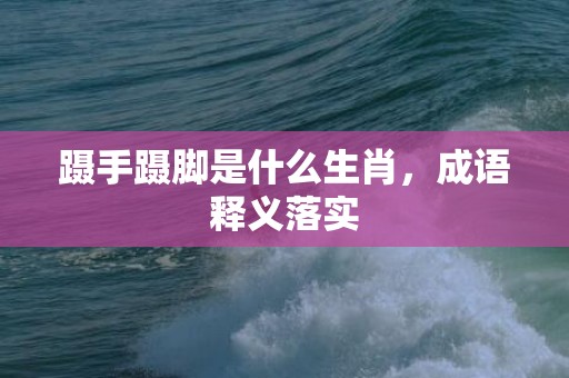 蹑手蹑脚是什么生肖，成语释义落实