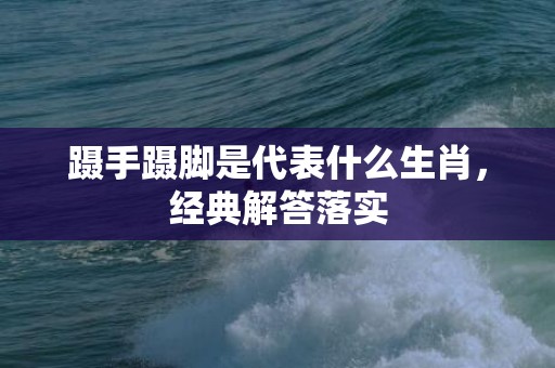 蹑手蹑脚是代表什么生肖，经典解答落实