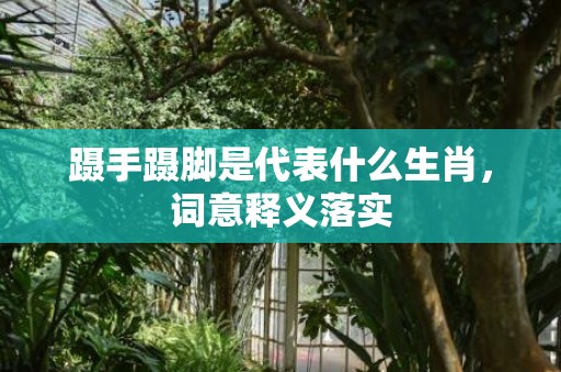 蹑手蹑脚是代表什么生肖，词意释义落实