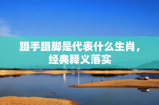 蹑手蹑脚是代表什么生肖，经典释义落实