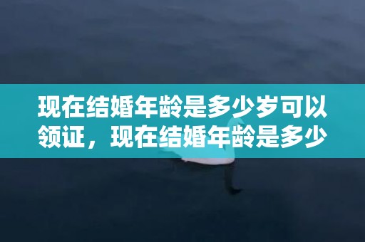 现在结婚年龄是多少岁可以领证，现在结婚年龄是多少岁