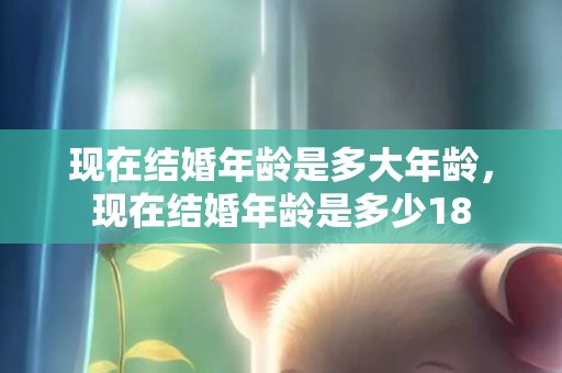 现在结婚年龄是多大年龄，现在结婚年龄是多少18