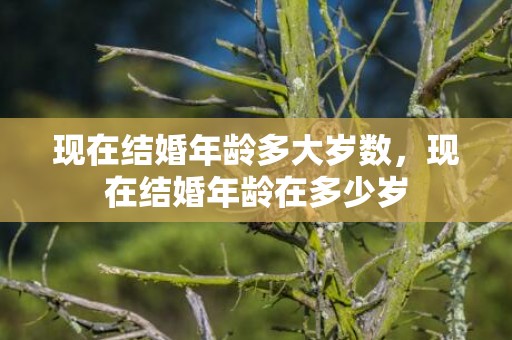现在结婚年龄多大岁数，现在结婚年龄在多少岁