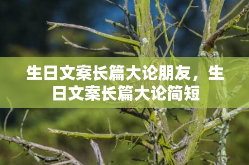生日文案长篇大论朋友，生日文案长篇大论简短
