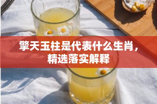 擎天玉柱是代表什么生肖，精选落实解释