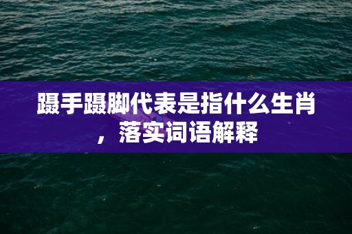 蹑手蹑脚代表是指什么生肖，落实词语解释
