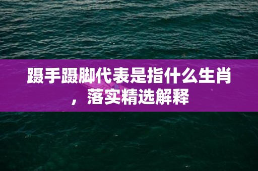 蹑手蹑脚代表是指什么生肖，落实精选解释