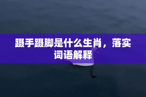 蹑手蹑脚是什么生肖，落实词语解释