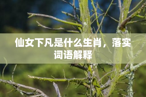 仙女下凡是什么生肖，落实词语解释
