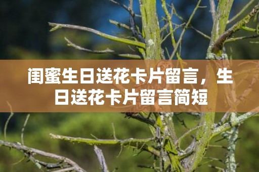 闺蜜生日送花卡片留言，生日送花卡片留言简短