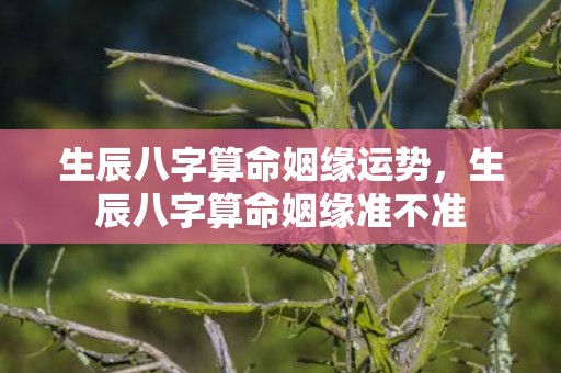 生辰八字算命姻缘运势，生辰八字算命姻缘准不准